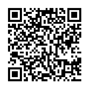 吴岩便神色冷峻的把目光定在了解峰魔气护阵之内的空地之上二维码生成