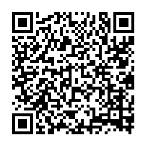 吴岩左拳和右拳几乎在同时撞击在了鬼酉那碗口粗树般的白色骨腿之上二维码生成