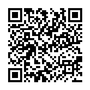 吴岩把众人弄进这处已然布置好了噬血妖藤的幽谷二维码生成