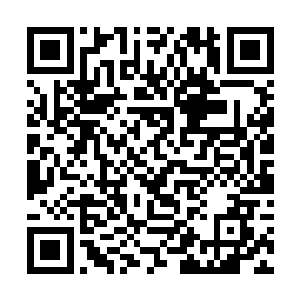 吴岩此时也忍不住被这紧张的气氛搞的有点心中抽抽二维码生成