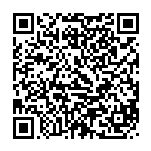 吴岩甚至已经领取了两个月的门派派发给门内真传弟子的日常物品二维码生成