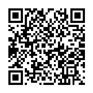 吴岩的手已经把那轮悬挂在中天的骄阳抓了个正着二维码生成