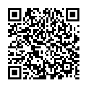 吴岩能清晰的感应到这两株噬血妖藤灵智的真实感受和想法二维码生成
