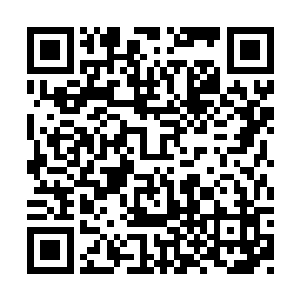 吴权立即带着人抬了那两名昏过去的老者下去了二维码生成