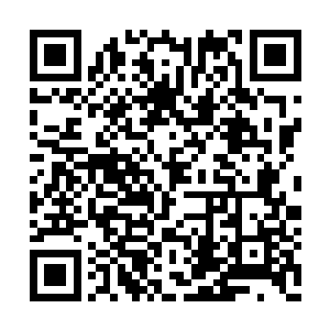 吴氏一面看着两个儿媳和墨玉几个丫鬟收拾东西二维码生成