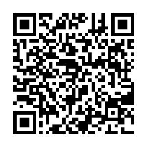 吴电望着三倍重力室内的正抬脚提着沙包的慕容仙儿二维码生成