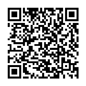 吴神帝忽然抬手就狠狠的抽了吕备毕几个耳光骂道二维码生成