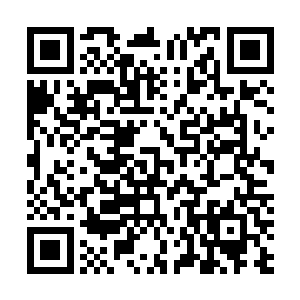 吴美丽和吕备毕带着十几个侍卫进了一套较大规模的宅院二维码生成