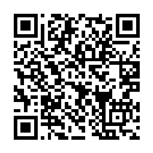 吴虎臣一脸坏笑地打量着秦梦琪那丰盈饱满的酥胸二维码生成