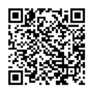 吴虎臣也可以凭借着这龙象之力成为这世间的第一二维码生成