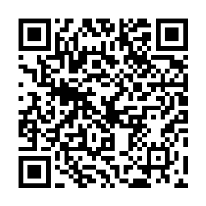 吴虎臣洗完脸之后便看到陶美佳双手托腮幸福地看着自己二维码生成