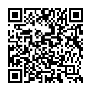 吴虎臣的眼力比明月轩和秦梦琪两人要好上很多二维码生成