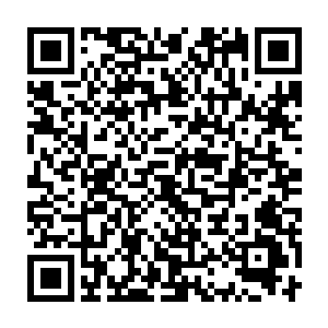 吴虎臣看着那些一脸惊惧且又带着满是好奇的眼神看着自己的孩童们二维码生成