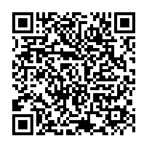 吴虎臣那如同金翅大鹏一般仿佛要吞天蔽日的身影如同一个巨大的阴影二维码生成