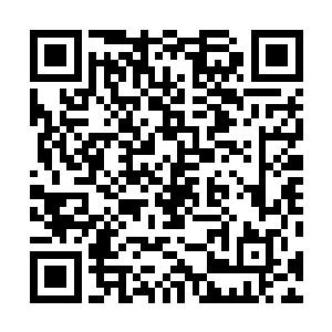 吴雅姿和李盈娇狐疑的看着江帆一副自信神态也没多追问二维码生成