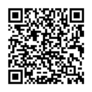 吴风瞪大了双眼不敢置信的看着林蟒逃走的方向二维码生成