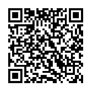 吸干墨蝰藤后便会改吸食活物精血……这种种的迹象二维码生成