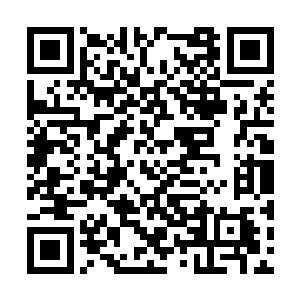 吸收的天地元力会经过一百零八条经脉大周天运转二维码生成