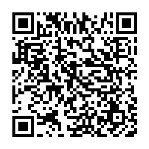 吸血鬼亲王伊利亚到底是顶尖的强者……即便是没有预料到这一幕二维码生成
