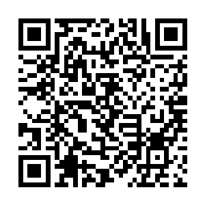 吸血鬼亲王伊利亚对付秦方可是一丁点也不会客气的二维码生成