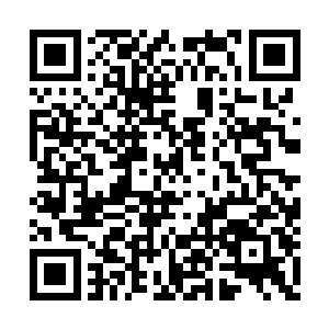 呈现给王妃一幅类似她少女时代熟悉的家乡小径二维码生成