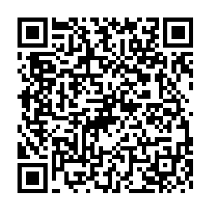 周围人也用着不可思议的眼神望着已经远去只看到一点点轮廓的身影二维码生成