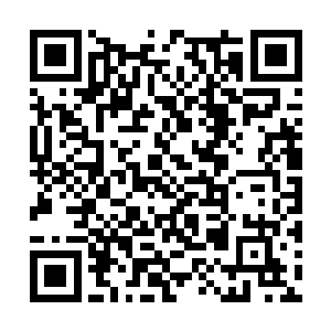 周围人才意识到原来这个安静淡然的美女竟然就是二维码生成