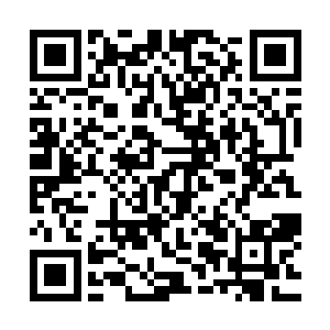 周围全是踩着飞行灵器或者直接贴地掠行的密密麻麻的修仙者二维码生成