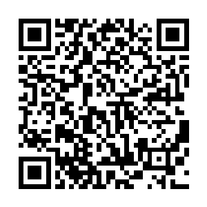 周围只要被她的尾巴上面的刺所碰到的人都被轻易的杀死了二维码生成