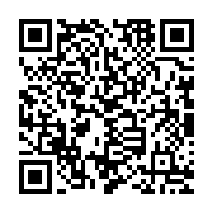周围恐怖的天地元气也是疯狂的朝着杨戬的头顶上空汇集过来二维码生成