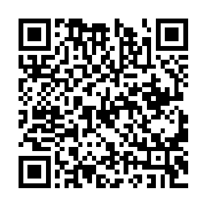 周围所有的人都是看向了向天明和幻盟大长老的脸二维码生成