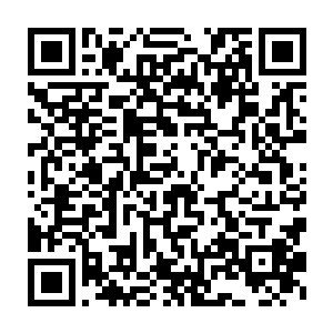 周围无数魔童和角魔督军都停下脚步静静等待着梦魇兽将敌人碾碎二维码生成