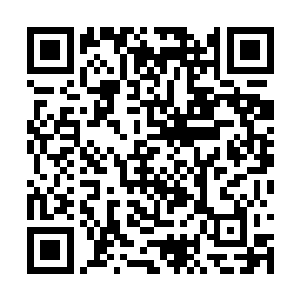 周围的人都说是因为对手太弱才会显得战斗很精彩二维码生成