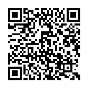 周围的天地元气化作一柄柄无坚不摧的元气之刃二维码生成