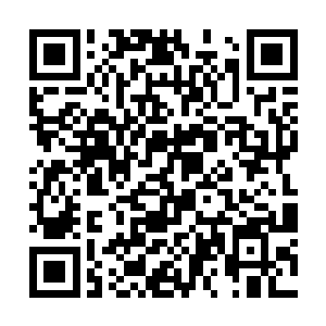 周围的空气中似乎都开始弥漫出一种浓烈的血腥味道二维码生成
