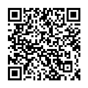 周围的空气似乎也感受到苏凡此刻拳头上的狂暴二维码生成