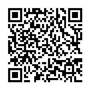 周围的空间也变得异常的狂躁了起来的……隐约间可以发现二维码生成