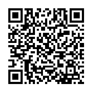 周围的那些二门之人也都是一个个恨的牙根子直痒痒二维码生成