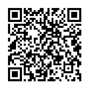 周围的那些有头有脸的人物皆是保持着沉默不想插手这件事情二维码生成