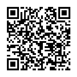 周围的雷之力也开始疯狂的朝着龙傲天的体内狂涌而来二维码生成