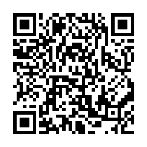 周围的黑水宗的一众高手脸上顿时也露出了一抹敬畏的神情二维码生成