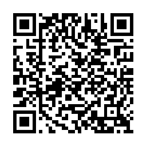 周围的黑鹰教弟子也不知道被什么东西给挡住了二维码生成