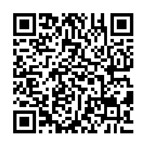周围站着的几个人十分有默契的一同举起了手中的半自动步枪二维码生成