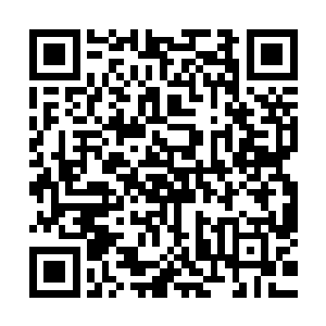 周围那些百家的家主一个个全都是无比震惊的看着这样的场面二维码生成