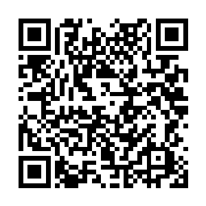 周怀轩从来没有从盛思颜嘴里听过这样直白的赞誉二维码生成