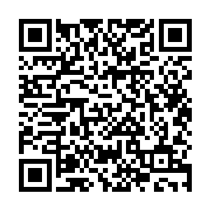 周明知道自己麾下的城卫军到底拥有多么强大的战斗力二维码生成