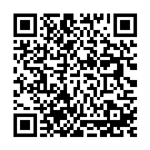 周海仁现在开始有些怀疑自己非要把江少游送去兵王训练营里二维码生成