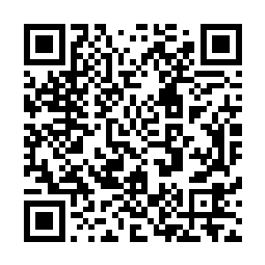 周海阳并悄悄让自己的人开始追踪曲苗苗打来电话的所在地二维码生成