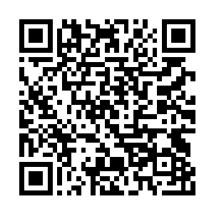 周狼见到了他的老祖宗留下来的那些法器和法宝二维码生成