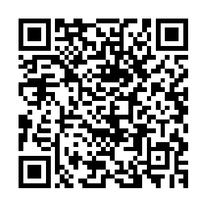 周瑜却不知曹仁正与麾下将领早就开始巡视城外各四门的状况二维码生成